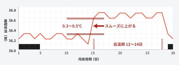 基礎体温表（正常型）