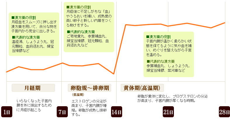 基礎体温表と漢方薬の図