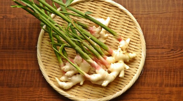 繋留流産後は手術をするの その後の妊娠のためにすべきこととは 流産について コラム 堀江薬局オフィシャルサイト 繋留流産後は手術をするの その後の妊娠のためにすべきこととは 流産について コラム 堀江薬局オフィシャルサイト